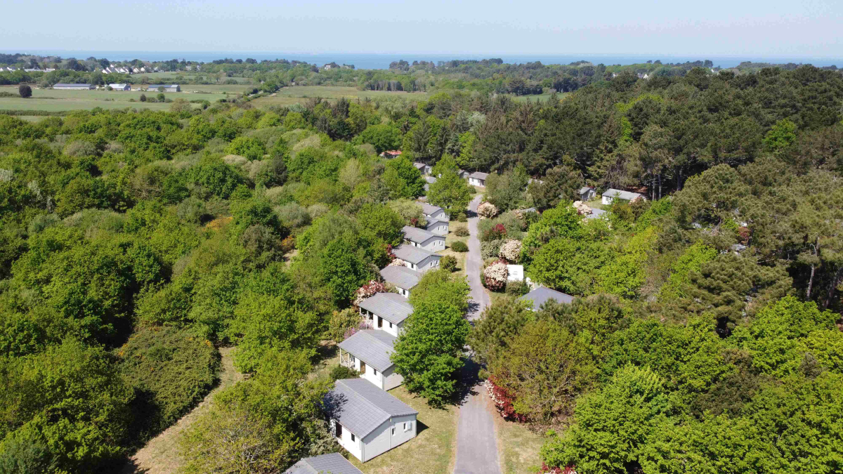 Bois de Bayadène Paesi della Loira - Piriac-sur-Mer visuel 10/10