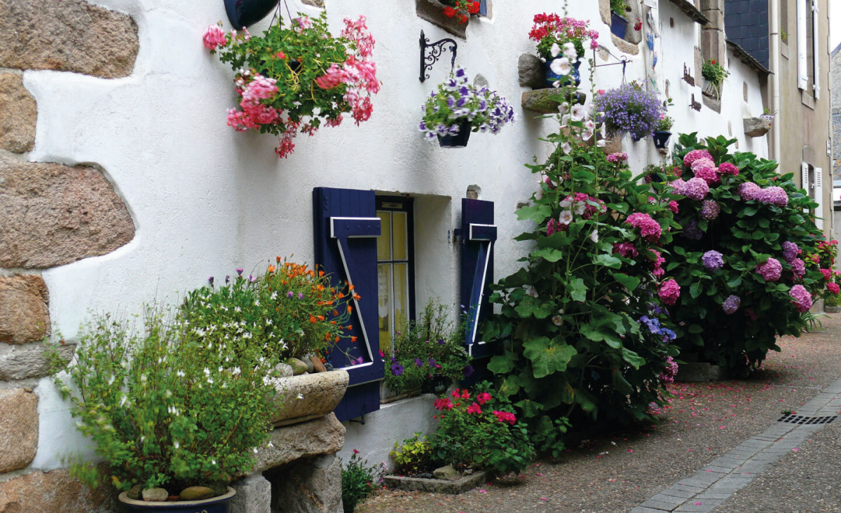 Bois de Bayadène Paesi della Loira - Piriac-sur-Mer visuel 5/10