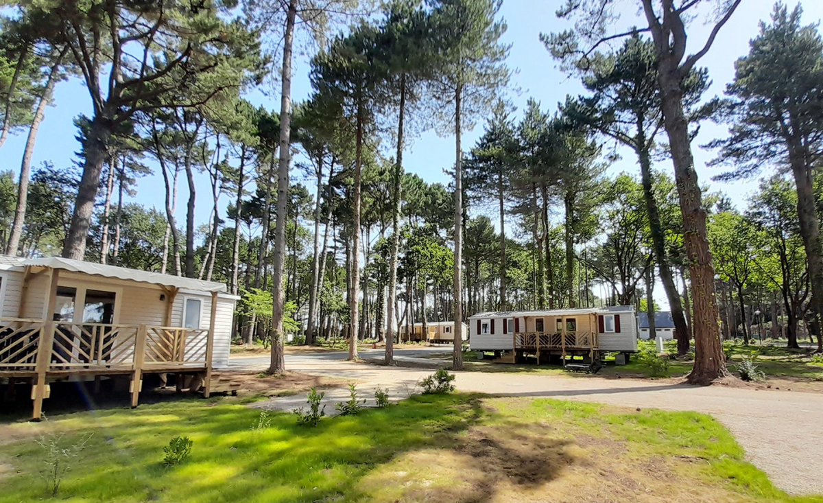 Bois de Bayadène Paesi della Loira - Piriac-sur-Mer visuel 7/10