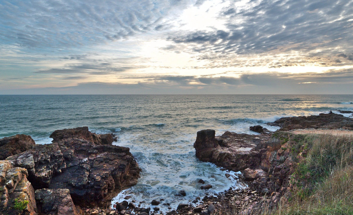 Bois de Bayadène Paesi della Loira - Piriac-sur-Mer visuel 8/10