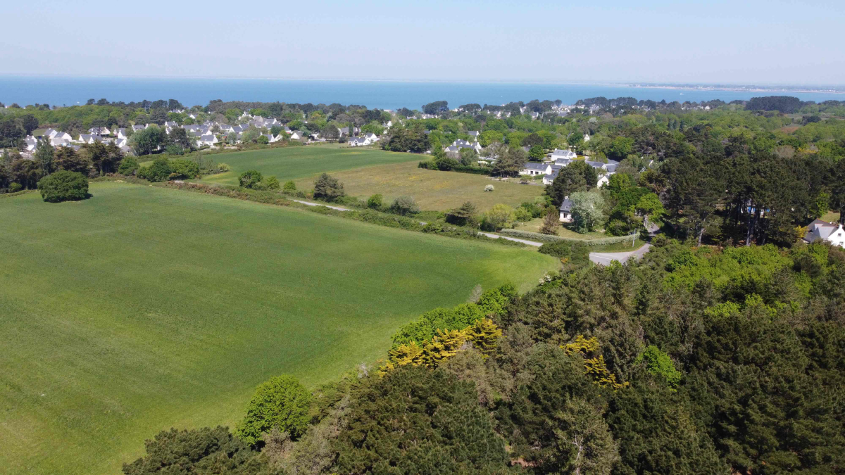 Bois de Bayadène Paesi della Loira - Piriac-sur-Mer visuel 2/10
