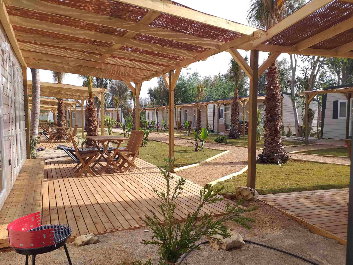 Taiga Delta de l'Ebre Costa Dorada - L'Ampolla visuel 5/16