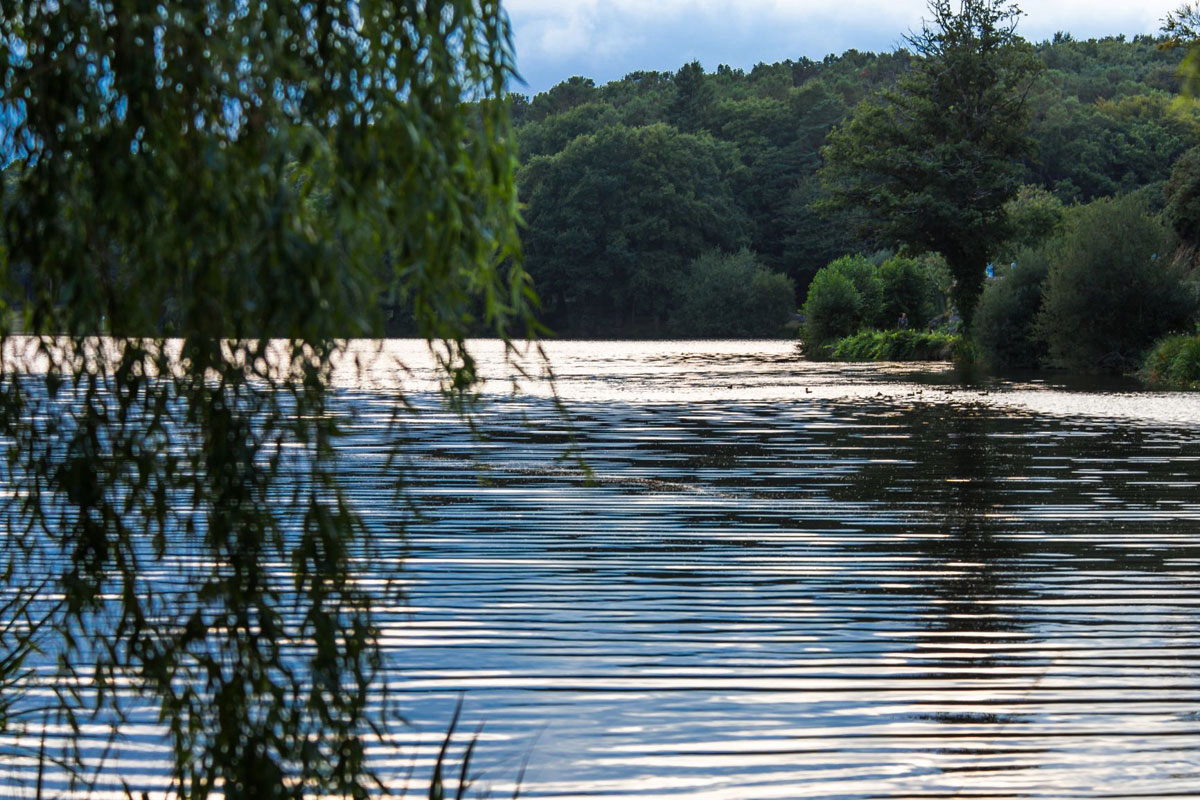 Au Gré des Vents Bretagna - Rochefort-en-Terre visuel 13/13 Au Gré des Vents Bretagna - Rochefort-en-Terre visuel 13/13