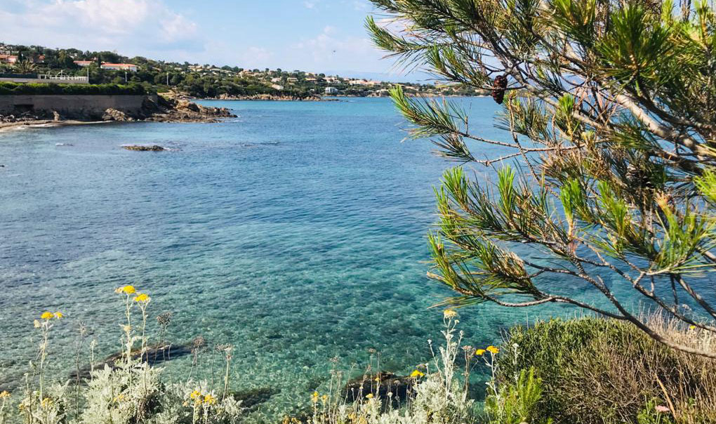 Au Paradis des Campeurs Provenza-Alpi-Costa Azzurra - Roquebrune-sur Argens visuel 2/17