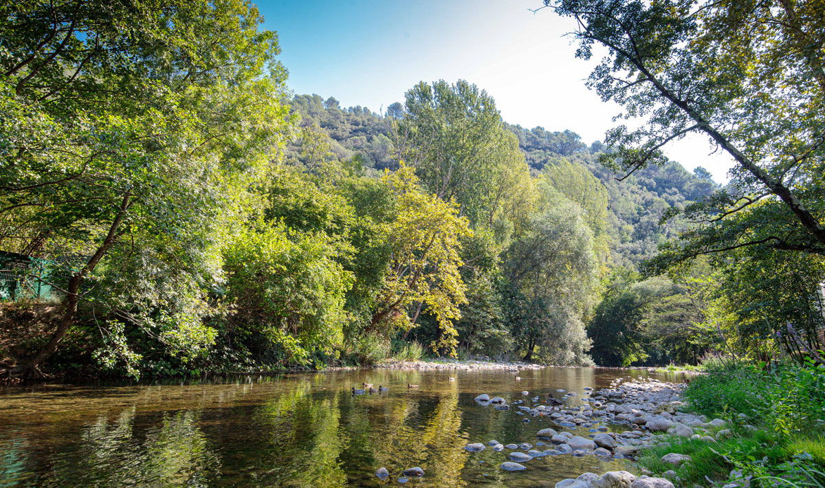Au Vallon Rouge Provenza-Alpi-Costa Azzurra - La Colle-sur-Loup visuel 15/25