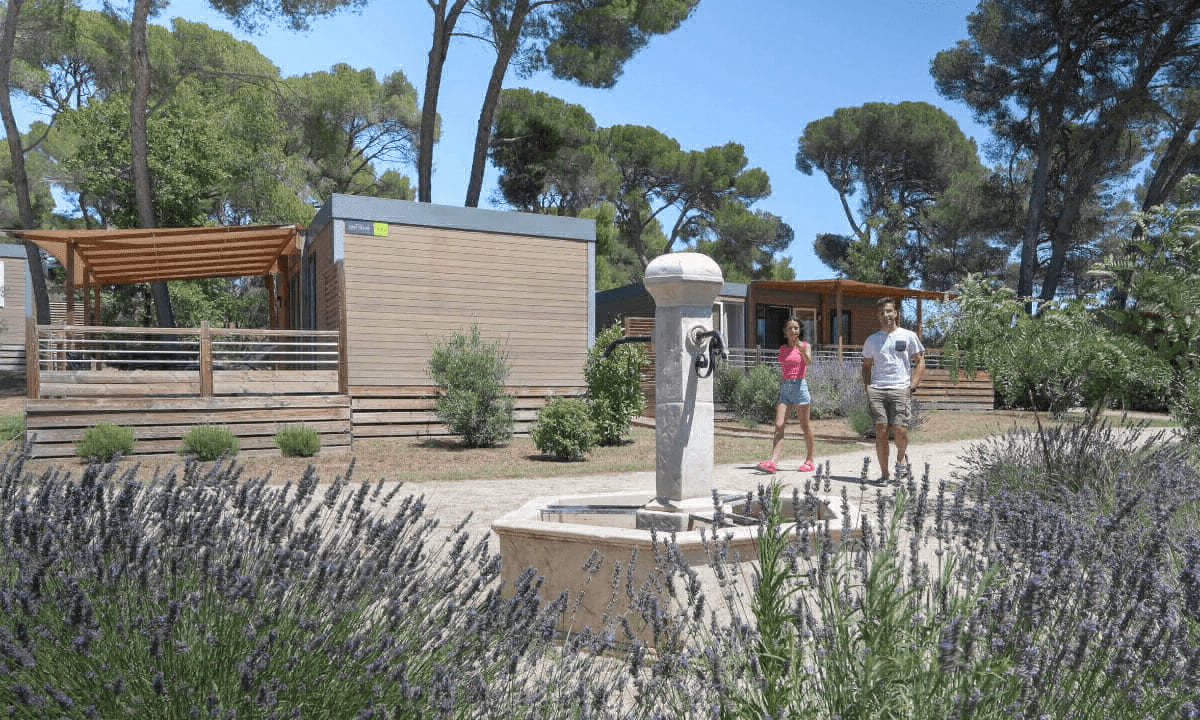 Avignon Parc Provenza-Alpi-Costa Azzurra - Vedène visuel 14/16