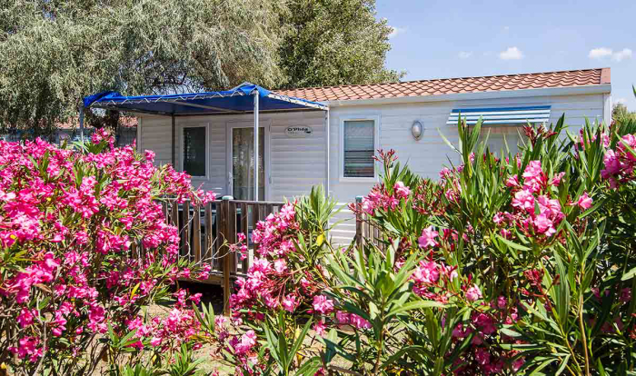 Beau Rivage Linguadoca-Rossiglione - Mèze visuel 5/30