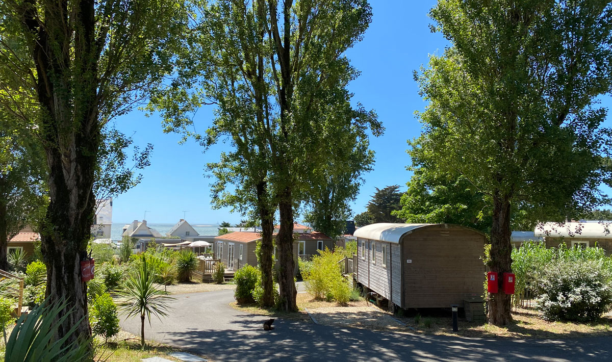 Bel Air Paesi della Loira - Pornichet visuel 6/15