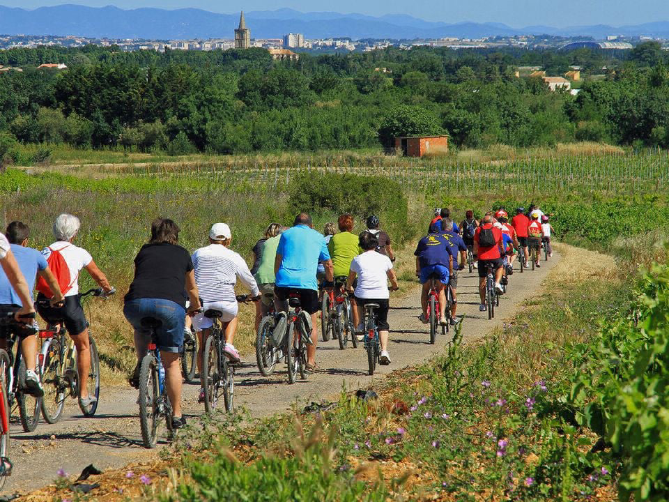 Bleu Marine Linguadoca-Rossiglione - Sérignan visuel 24/27