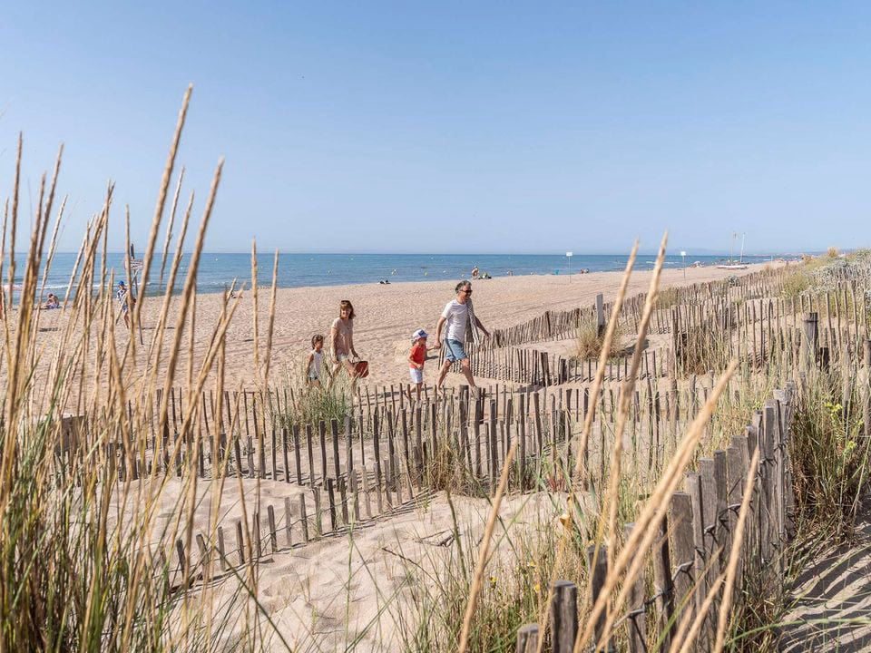 Bleu Marine Linguadoca-Rossiglione - Sérignan visuel 22/27