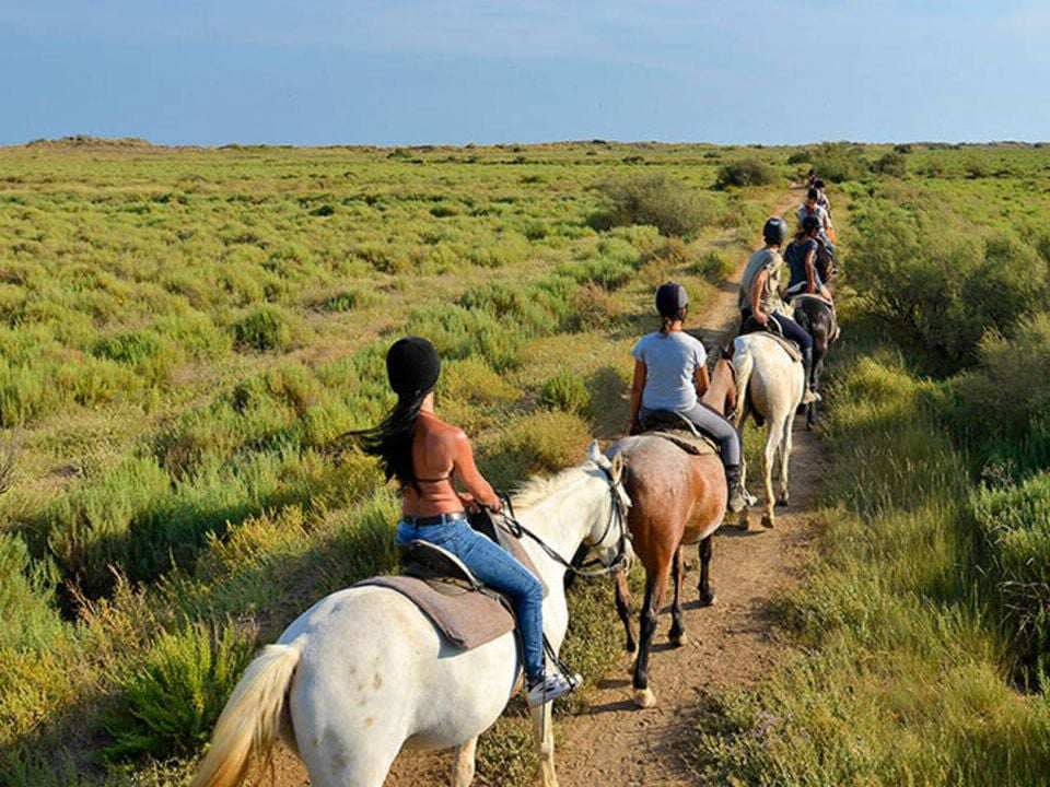 Bleu Marine Linguadoca-Rossiglione - Sérignan visuel 25/27