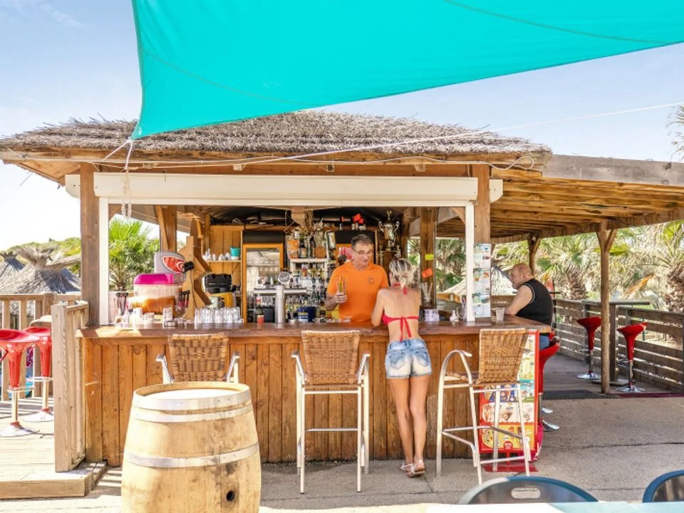 Bleu Marine Linguadoca-Rossiglione - Sérignan visuel 20/27