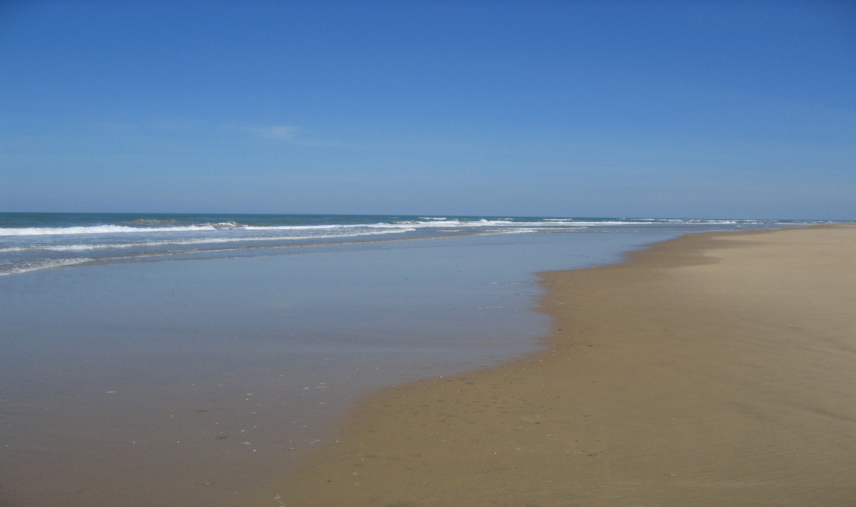 Bonne Anse Plage Poitou-Charentes - Les Mathes-La Palmyre visuel 21/21 Bonne Anse Plage Poitou-Charentes - Les Mathes-La Palmyre visuel 21/21