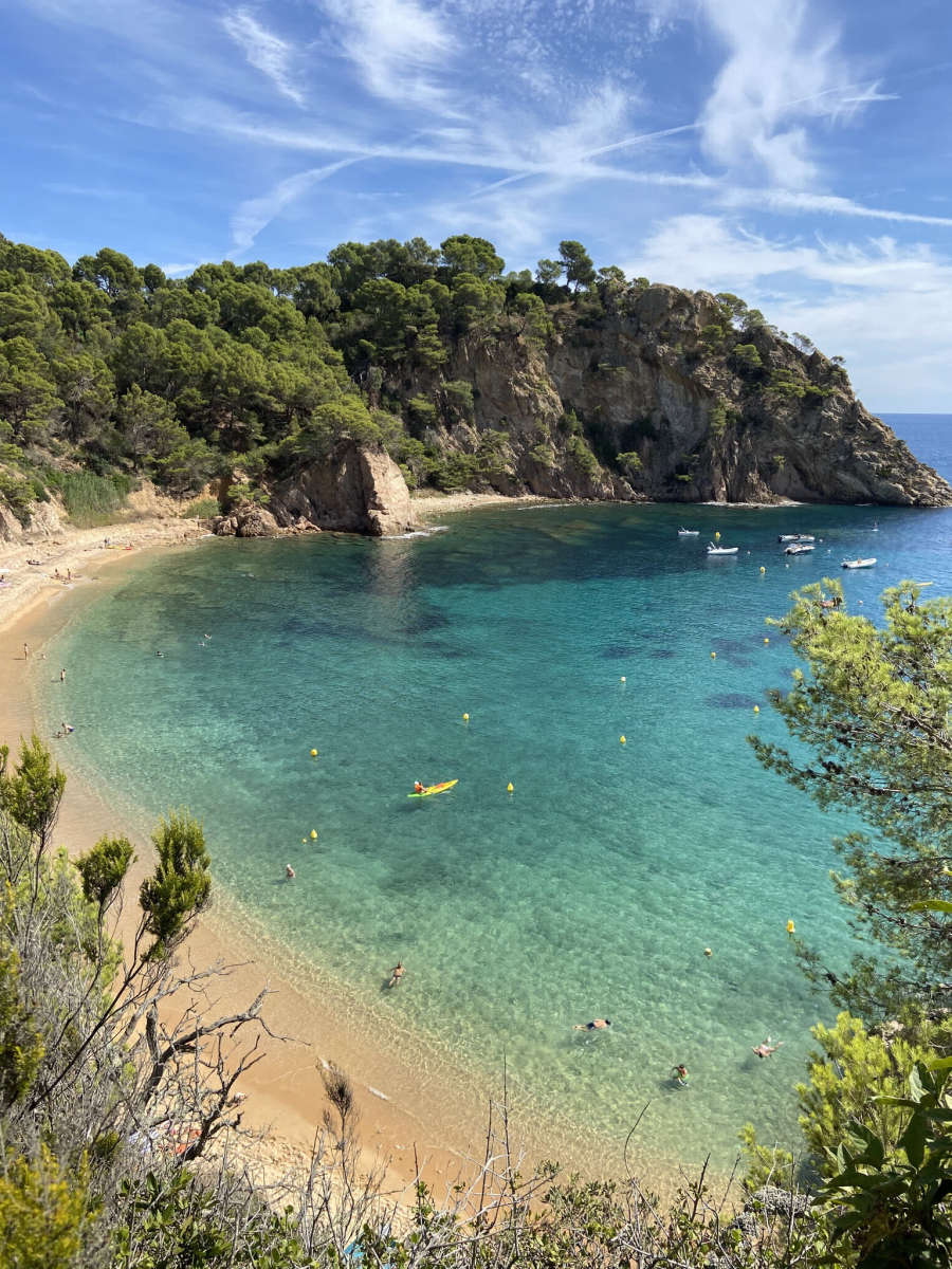 Cala Pola Costa Brava - Tossa de Mar visuel 26/32