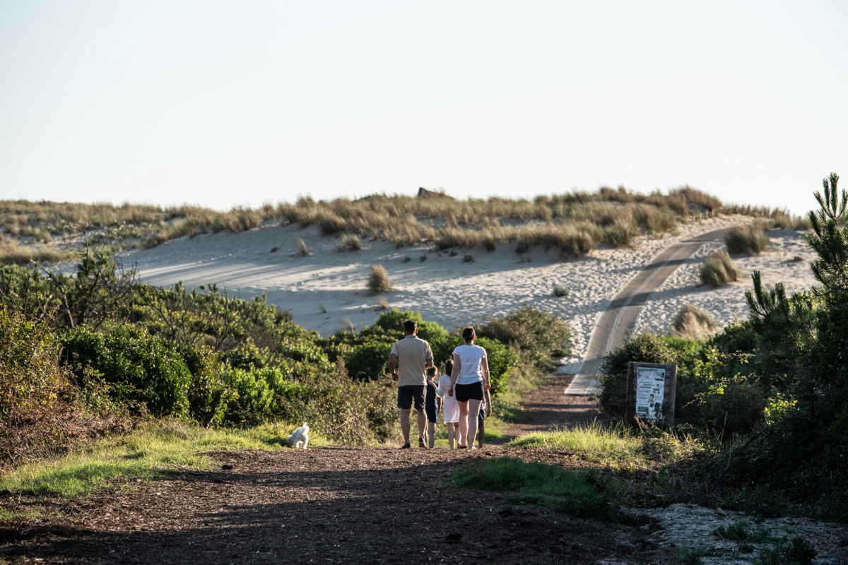 Campéole Les Tourterelles Aquitania - Saint-Girons visuel 30/35