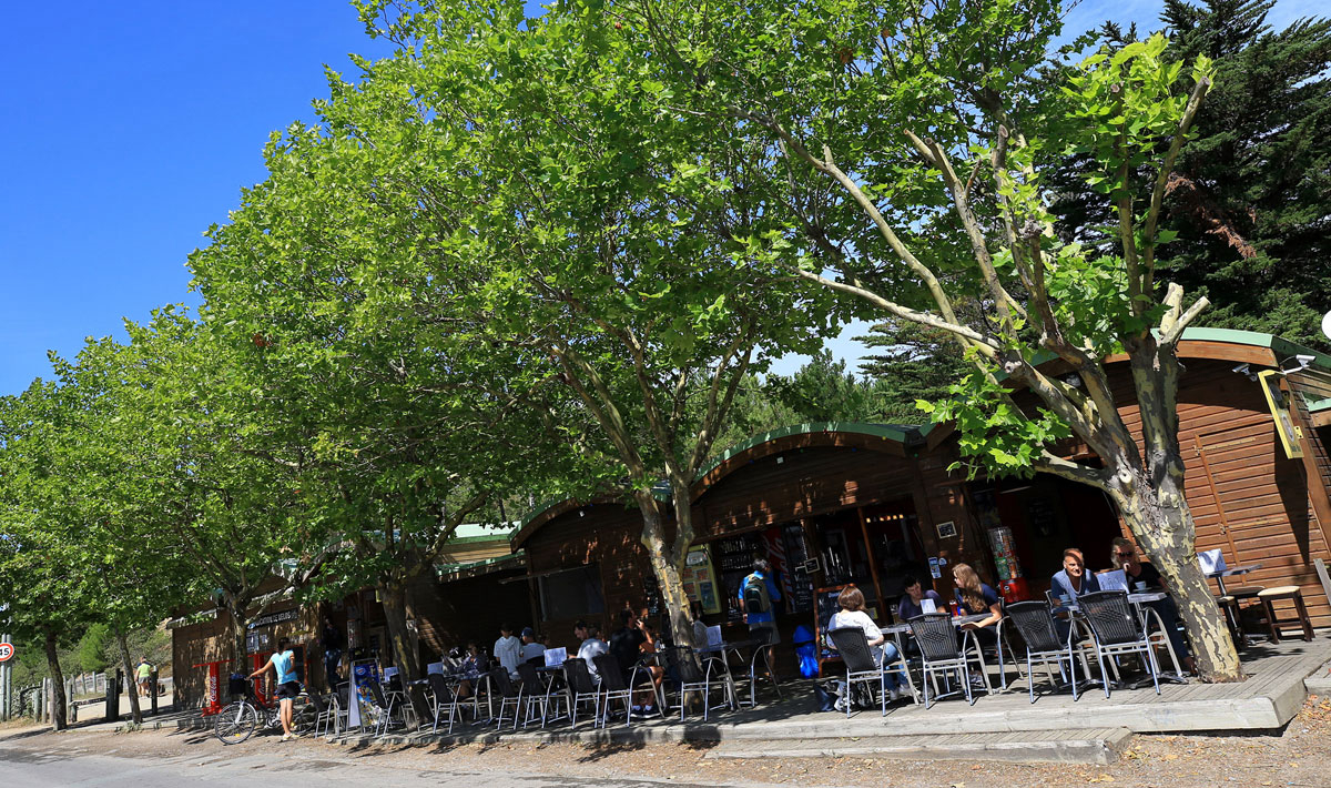 Plage des Tonnelles Paesi della Loira - Saint-Jean-de-Monts visuel 8/10