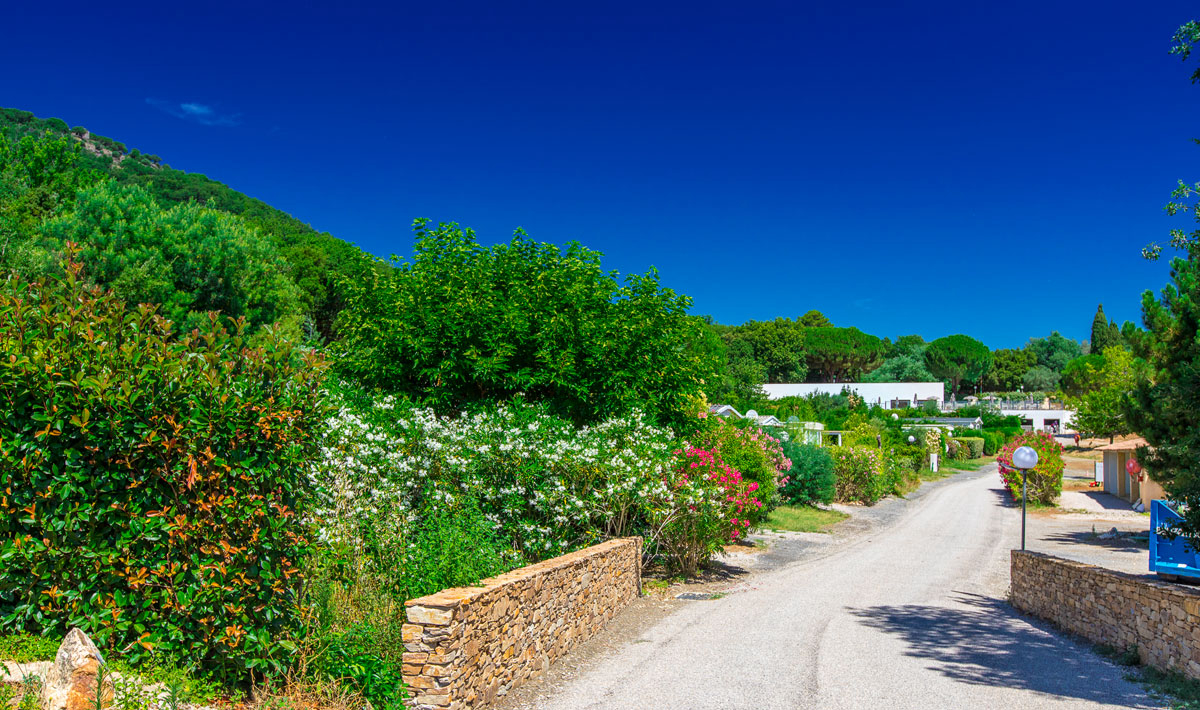 Domaine de Miremer Provenza-Alpi-Costa Azzurra - La Garde-Freinet visuel 6/7 Domaine de Miremer Provenza-Alpi-Costa Azzurra - La Garde-Freinet visuel 6/7