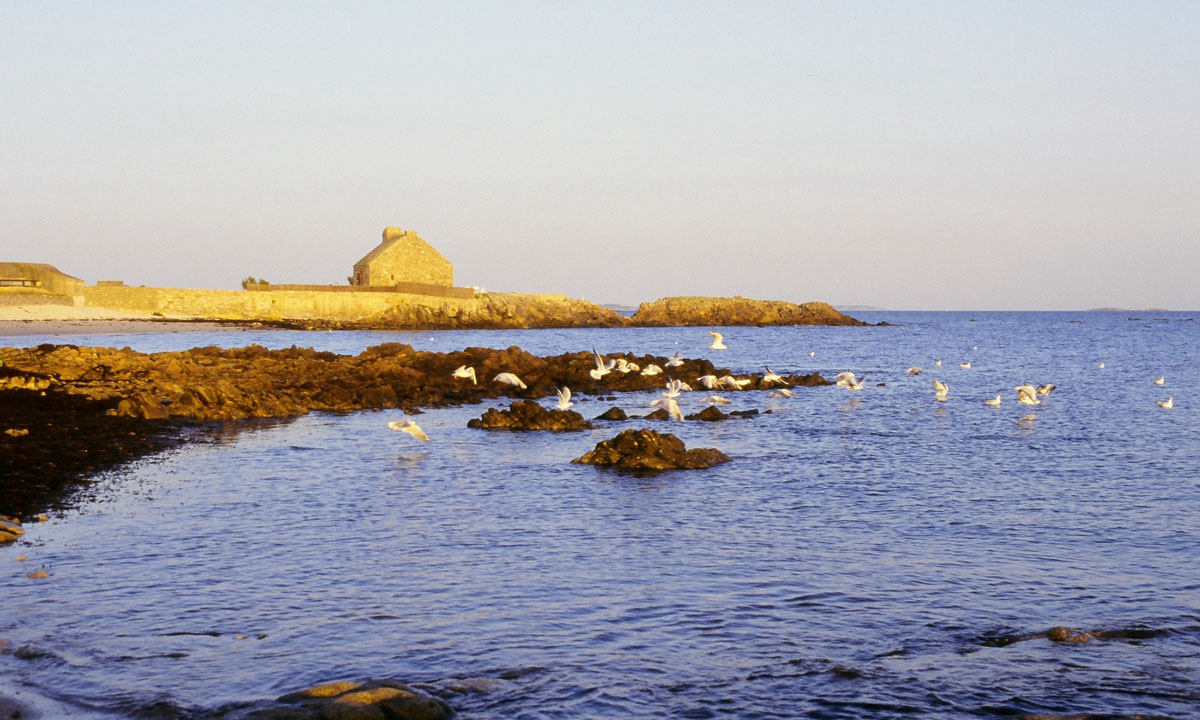 Camping de la Plage Bretagna - La Trinité-sur-Mer visuel 22/22 Camping de la Plage Bretagna - La Trinité-sur-Mer visuel 22/22