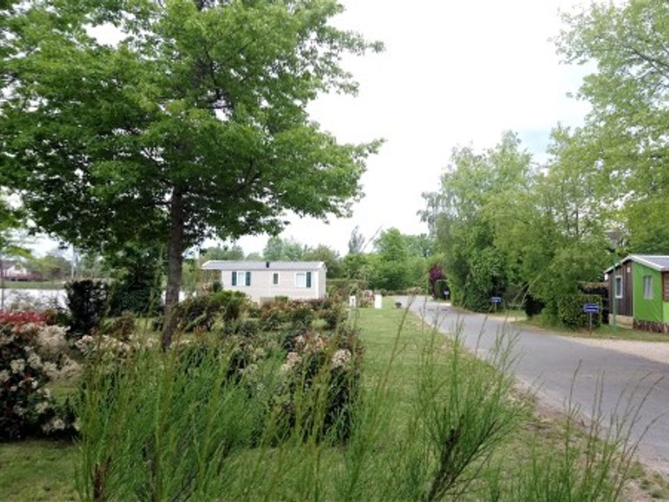 Camping de Sologne Centro-Valle della Loira - Salbris visuel 2/3 Camping de Sologne Centro-Valle della Loira - Salbris visuel 2/3