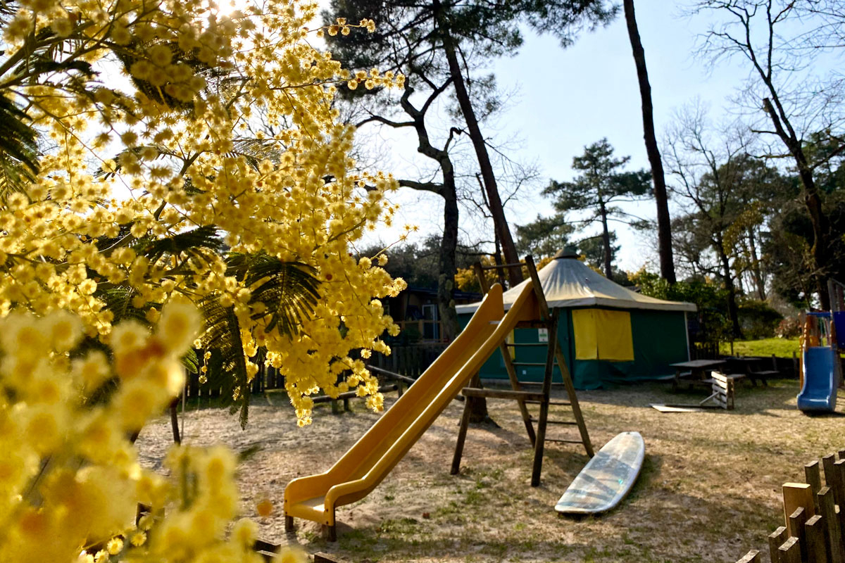 Camping des Pins Aquitania - Soulac-sur-Mer visuel 8/22