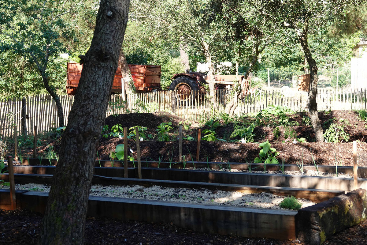 Camping des Pins Aquitania - Soulac-sur-Mer visuel 20/22