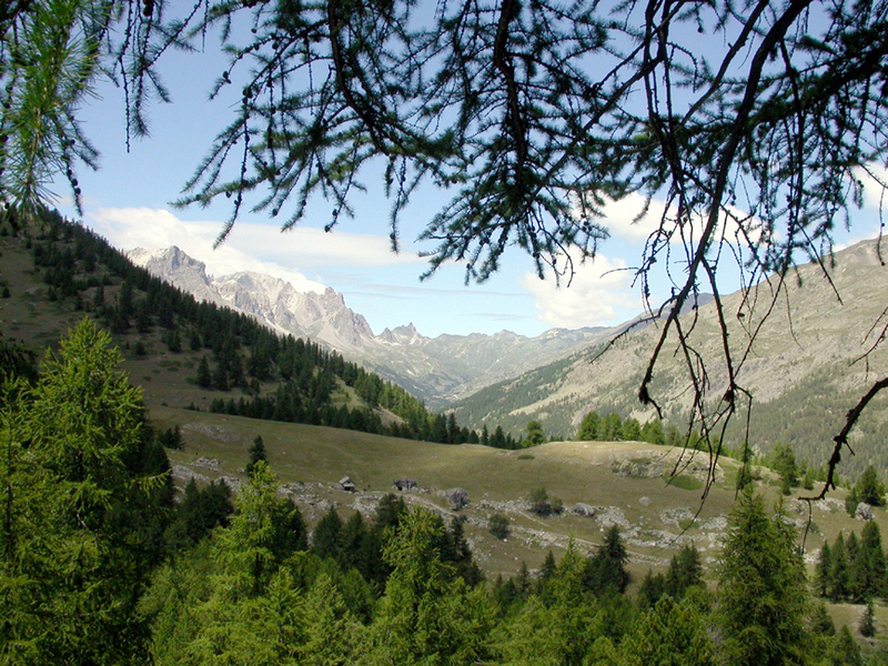 Camping GCU de Vallouise Provenza-Alpi-Costa Azzurra - Vallouise visuel 1/3