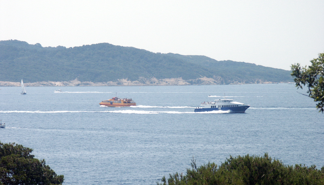 Camping GCU La Croix-Valmer Provenza-Alpi-Costa Azzurra - La Croix-Valmer visuel 1/1