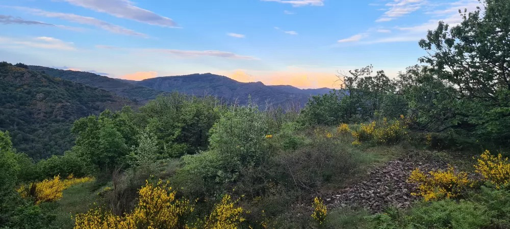 Chateau De L'hom Linguadoca-Rossiglione - Saumane visuel 6/11 Chateau De L'hom Linguadoca-Rossiglione - Saumane visuel 6/11