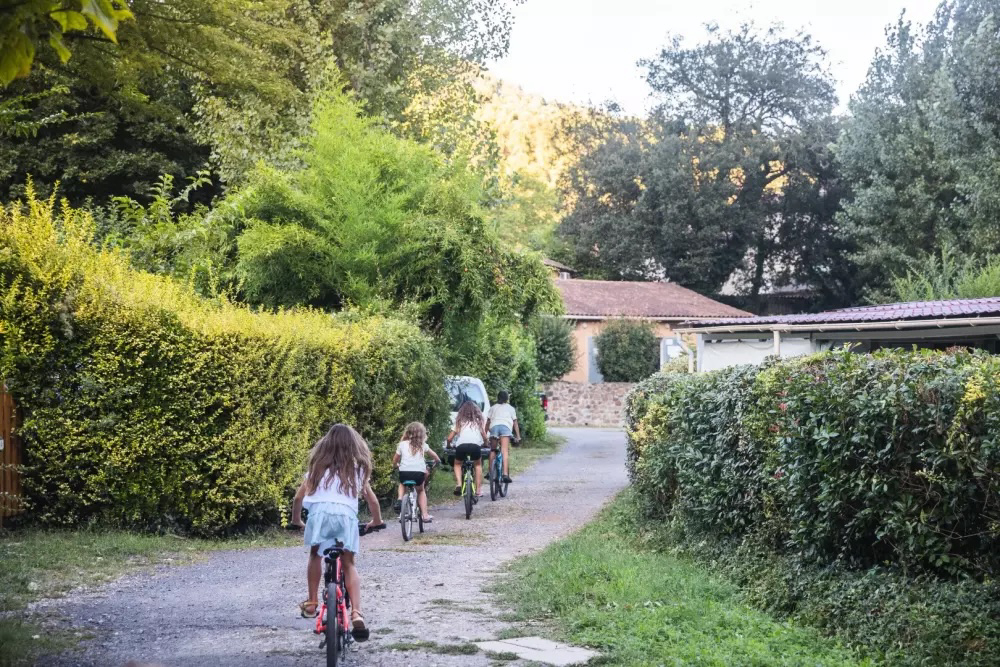 Chateau De L'hom Linguadoca-Rossiglione - Saumane visuel 4/11 Chateau De L'hom Linguadoca-Rossiglione - Saumane visuel 4/11