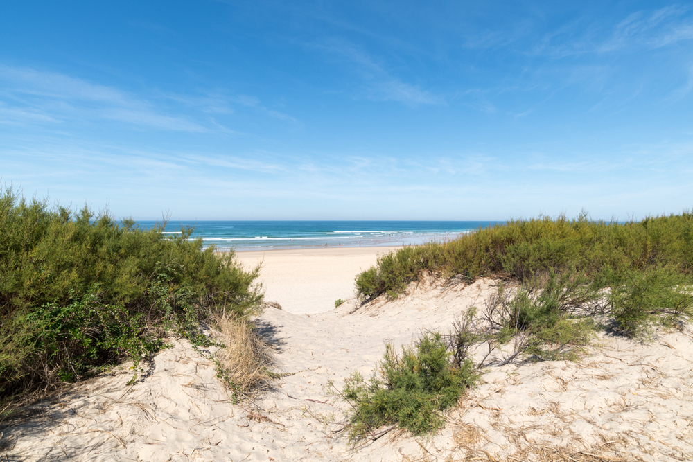 Club Marina Landes Aquitania - Mimizan visuel 6/6