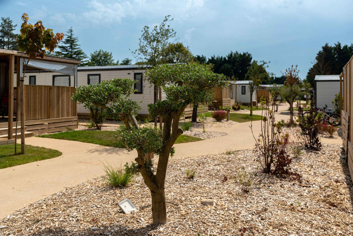 Camping Club MS Le Trianon Paesi della Loira - Les Sables-d'Olonne visuel 42/51