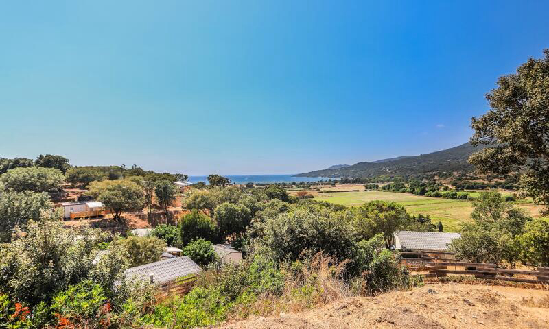 Colomba Corsica - Propriano visuel 6/8