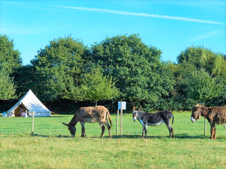 Croas Men Bretagna - Douarnenez visuel 1/1 Croas Men Bretagna - Douarnenez visuel 1/1