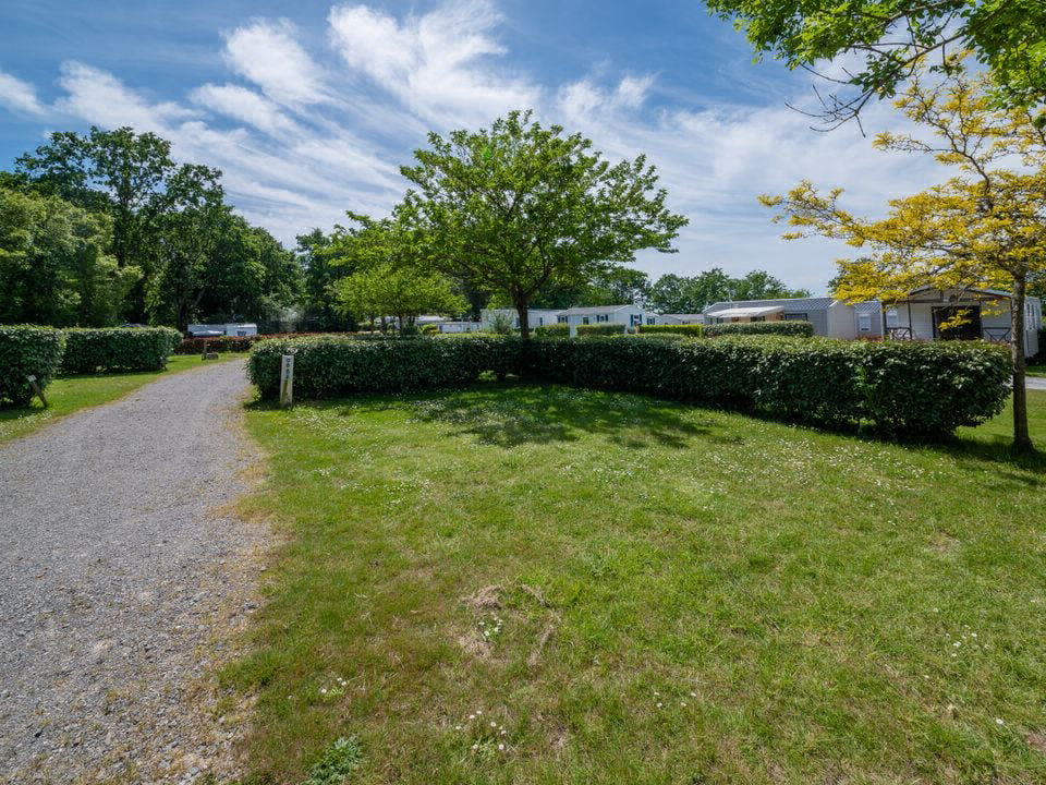 d'Arvor Bretagna - Ambon visuel 4/10