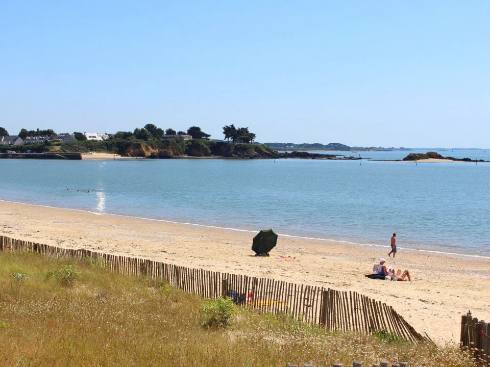 d'Arvor Bretagna - Ambon visuel 5/10