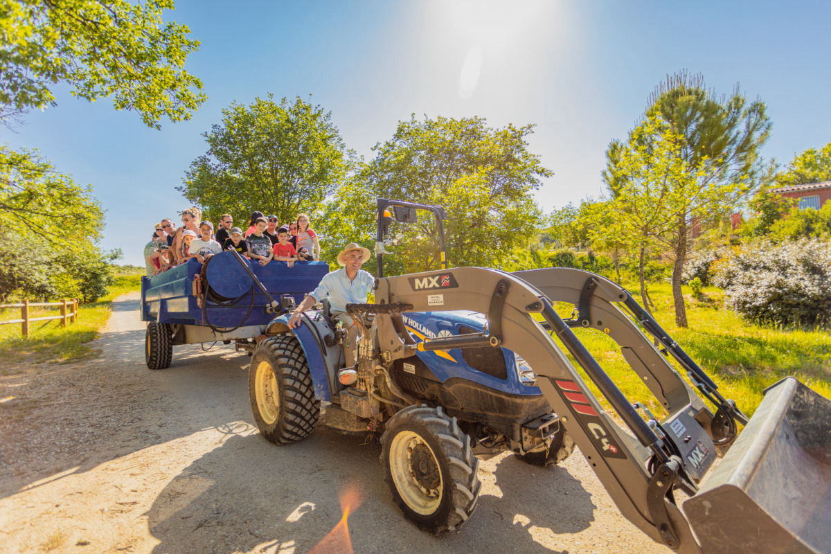 Domaine D'anglas Linguadoca-Rossiglione - Brissac visuel 3/6 Domaine D'anglas Linguadoca-Rossiglione - Brissac visuel 3/6