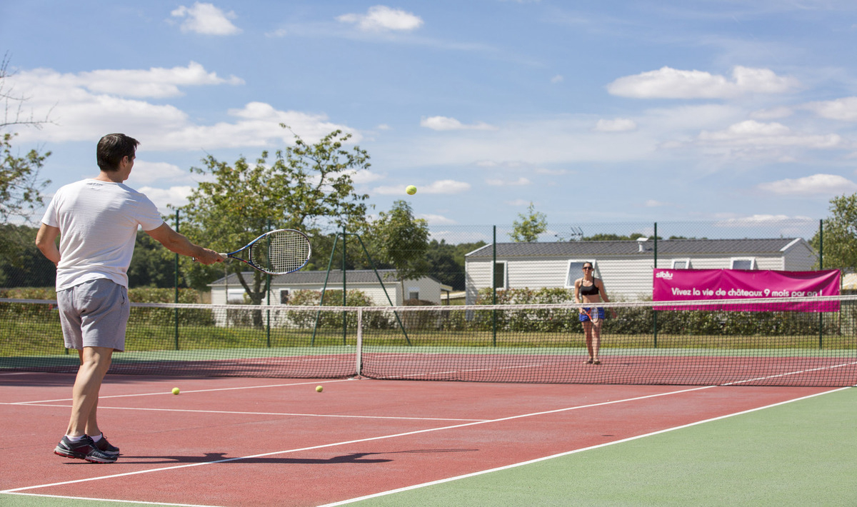 Domaine de Dugny Centro-Valle della Loira - Onzain visuel 14/23 Domaine de Dugny Centro-Valle della Loira - Onzain visuel 14/23