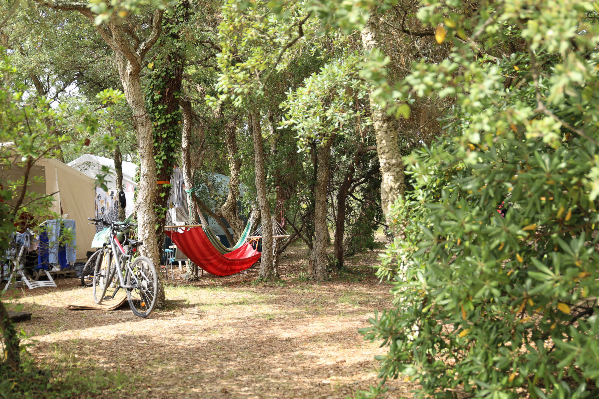 Domaine de Fierbois Aquitania - Capbreton visuel 15/16