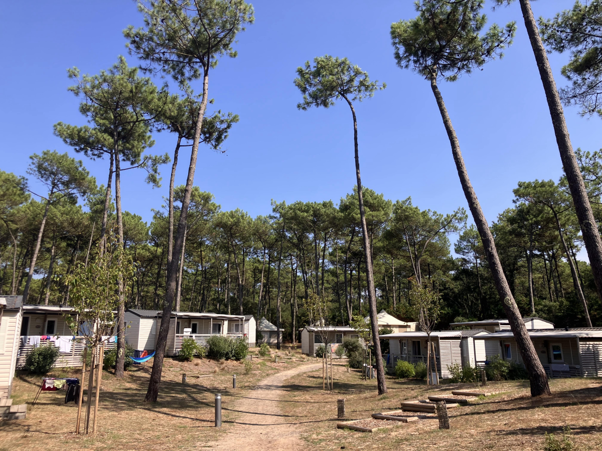 Domaine de Fierbois Aquitania - Capbreton visuel 2/16