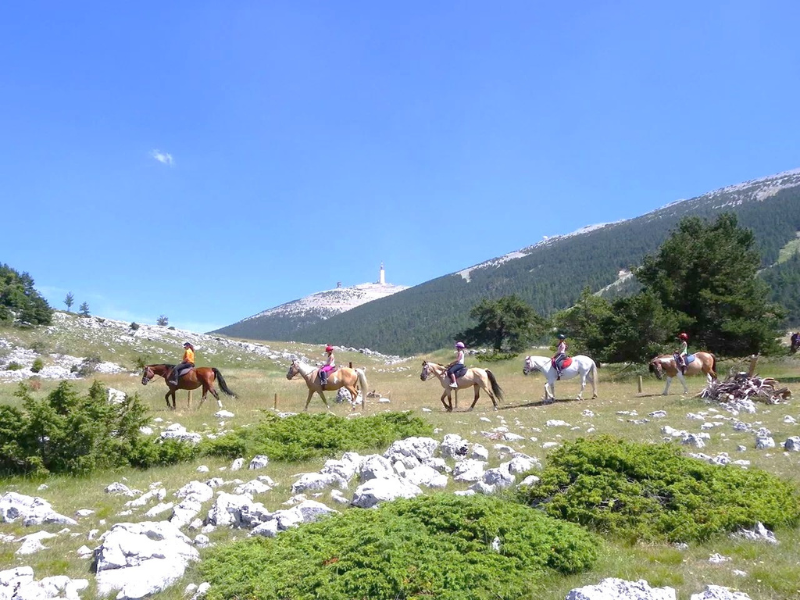 Domaine des Chênes Blancs Provenza-Alpi-Costa Azzurra - Saint-Saturnin-lès-Apt visuel 18/28 Domaine des Chênes Blancs Provenza-Alpi-Costa Azzurra - Saint-Saturnin-lès-Apt visuel 18/28