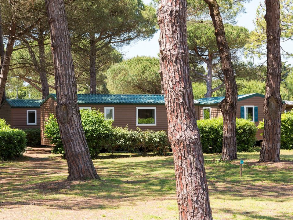 Domaine Résidentiel de plein-air Les Tamarins Poitou-Charentes - Le Bois-Plage-en-Ré visuel 8/9 Domaine Résidentiel de plein-air Les Tamarins Poitou-Charentes - Le Bois-Plage-en-Ré visuel 8/9