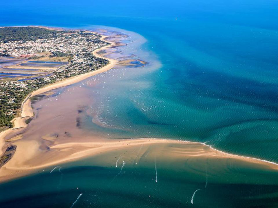 Domaine Résidentiel de plein-air Les Tamarins Poitou-Charentes - Le Bois-Plage-en-Ré visuel 9/9 Domaine Résidentiel de plein-air Les Tamarins Poitou-Charentes - Le Bois-Plage-en-Ré visuel 9/9