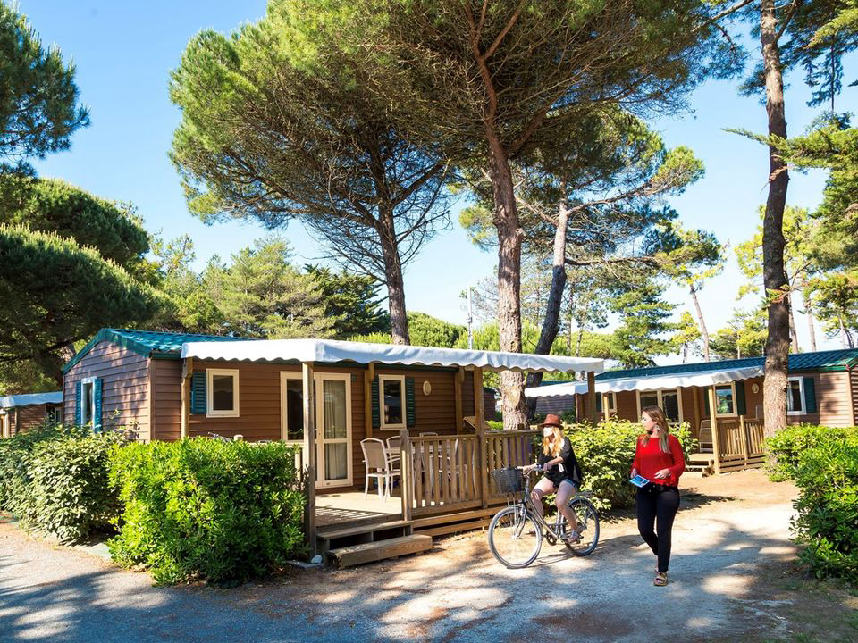 Domaine Résidentiel de plein-air Les Tamarins Poitou-Charentes - Le Bois-Plage-en-Ré visuel 2/9 Domaine Résidentiel de plein-air Les Tamarins Poitou-Charentes - Le Bois-Plage-en-Ré visuel 2/9