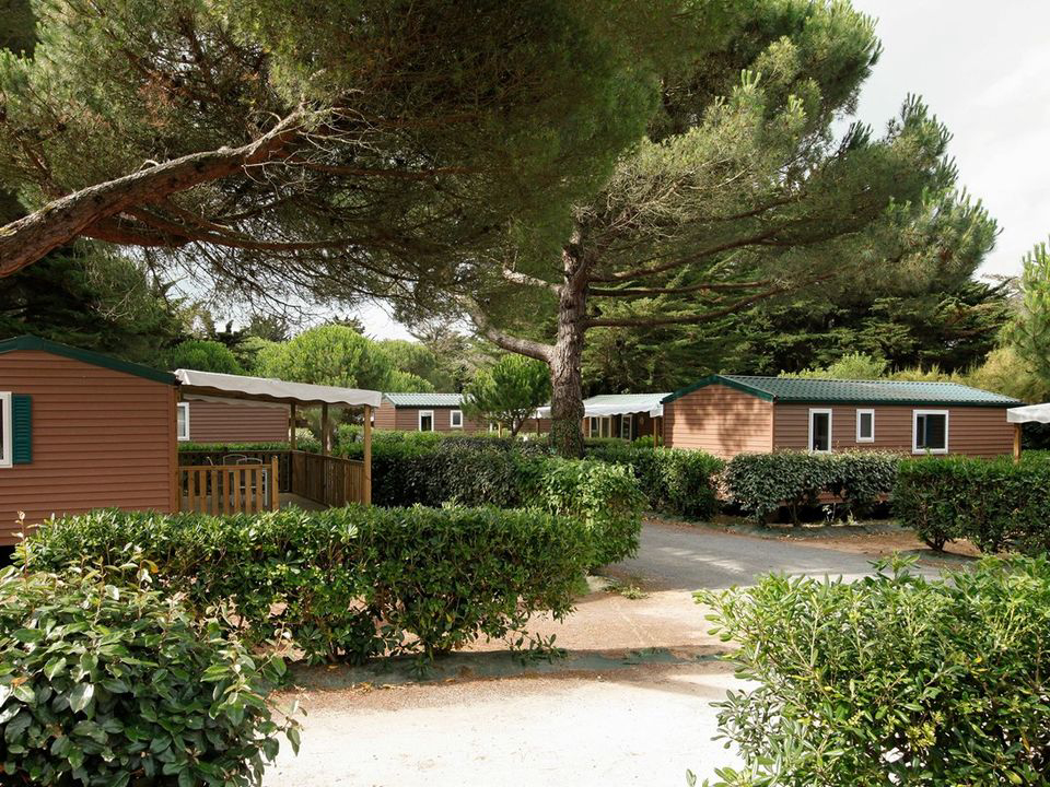 Domaine Résidentiel de plein-air Les Tamarins Poitou-Charentes - Le Bois-Plage-en-Ré visuel 6/9 Domaine Résidentiel de plein-air Les Tamarins Poitou-Charentes - Le Bois-Plage-en-Ré visuel 6/9