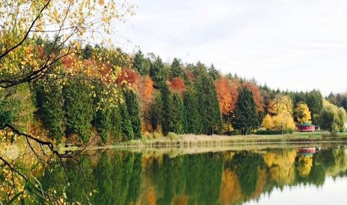 Foxycamp Le Longeau Lorena - HANNONVILLE SOUS LES COTES visuel 1/2 Foxycamp Le Longeau Lorena - HANNONVILLE SOUS LES COTES visuel 1/2