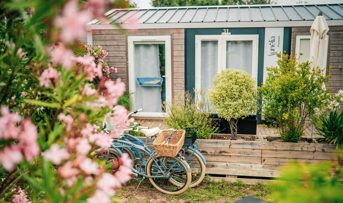 Interlude Poitou-Charentes - Le Bois-Plage-en-Ré visuel 6/9