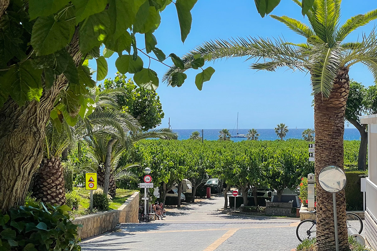 Joan Costa Dorada - Cambrils visuel 10/25