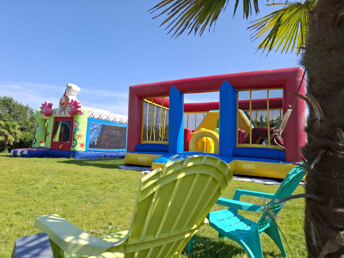 L'Ambois Paesi della Loira - Mouilleron-le-Captif visuel 29/32