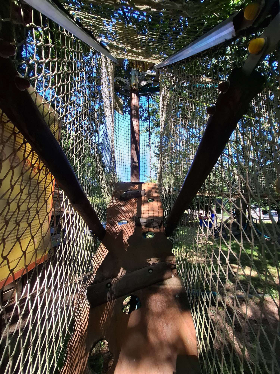 L'Ambois Paesi della Loira - Mouilleron-le-Captif visuel 27/32