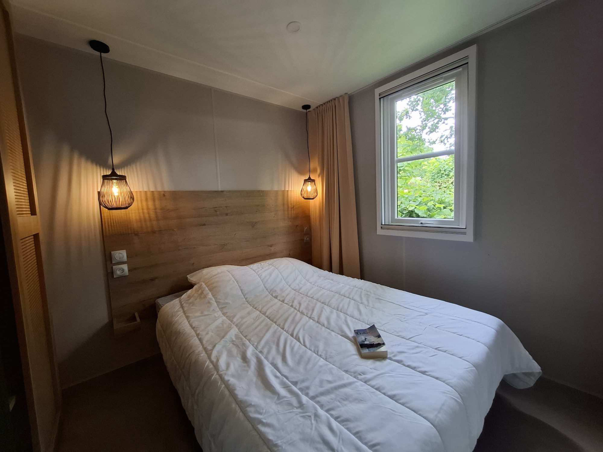 L'Ambois Paesi della Loira - Mouilleron-le-Captif visuel 22/32